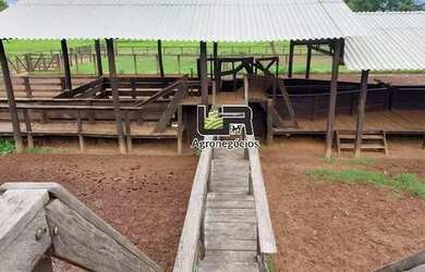 Imagem 16: Fazenda de 2.574 Alqueires em Formoso do Araguaia To