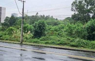 Imagem 6: CAXIAS DO SUL - Terreno Padrão - Santa Lúcia