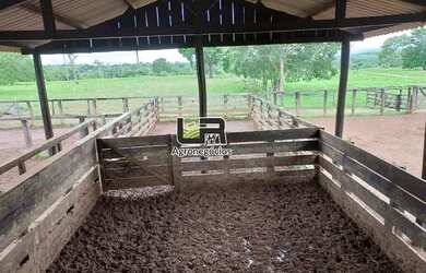 Imagem 11: Fazenda de 2.574 Alqueires em Formoso do Araguaia To