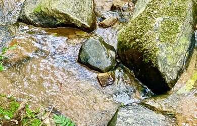 Imagem: O terreno possui 100.170m² de Área e está localizado em