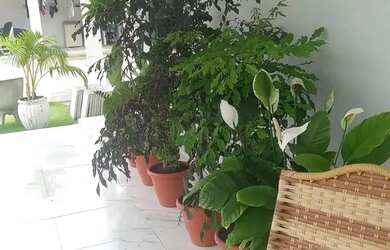 Imagem 12: Luxuosa Casa à Venda em Porto de Galinhas com Piscina e Churrasqueira