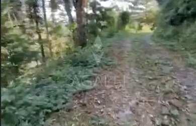 Imagem 2: Ótimo Terreno à venda no bairro BATEIAS , CAMPO LARGO - PR