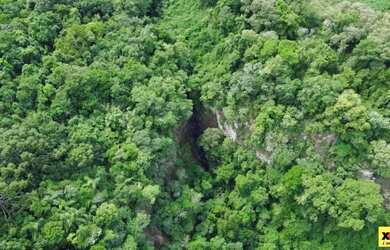 Imagem 12: Sítio / Chácara para Venda em Nova Petrópolis, Feliz lembrança, 2...