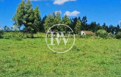 Imagem 9: Fazenda Perobas, Araruama 251 Hectares com Vocação Pecuária e Potencial...