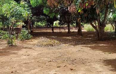 Imagem: O terreno possui 200m² de Área e está localizado em Paranoá