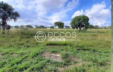 Imagem: Terreno à venda, Jardim Inconfidência - Uberlândia/MG