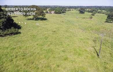 Imagem: A fazenda possui 145200m² de Área e está localizado em Mozarlândia