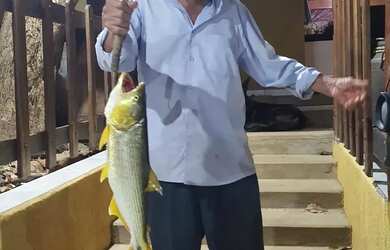 Imagem 3: OPORTUNIDADE ÚNICA BELÍSSIMA FAZENDA À VENDA EM BURITIS-MG