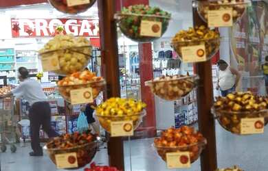 Imagem 2: Franquia Cacau Show