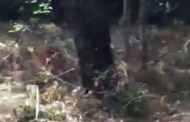 Imagem: O terreno possui 2.050m² de Área e está localizado em Quinta