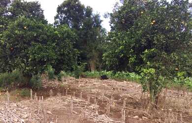 Imagem 2: Terreno 1.260,00,m², frente cercada, lugar alto linda vista, plano