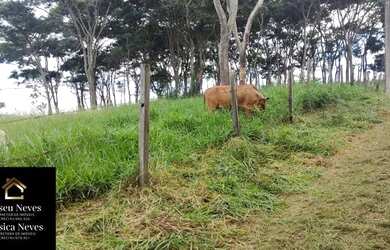 Imagem 8: Vendo Terreno no bairro Arcozelo em Paty do Alferes - RJ