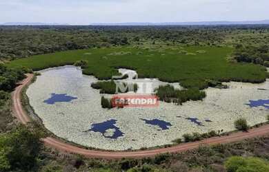 Imagem: A fazenda possui 500m² de Área e está localizado em Flores