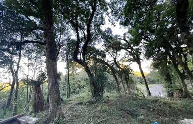 Imagem 8: Terreno - Bairro Quinta da Serra