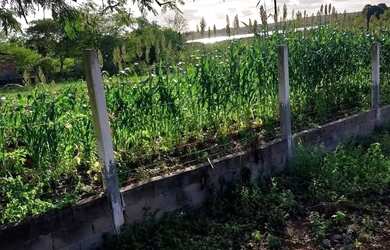 Imagem 5: Chácara. 12.000m² de Área