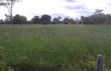 Imagem 6: Excelente Fazenda de 1.500 Hectares em Montes Claros Minas Gerais