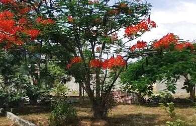 Imagem 11: Loteamento em Sapeaçu, frente Rodoviária, Infraestrutura, lotes a partir de 300 m²