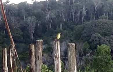 Imagem: A fazenda possui 350.000m² de Área Privada e está localizado