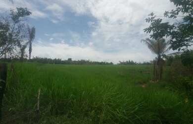 Imagem 3: Fazenda. 75.000m² de Área