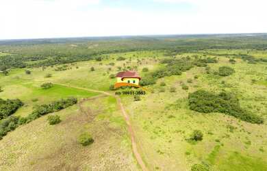 Imagem 14: Fazenda para Venda em Nova Rosalândia