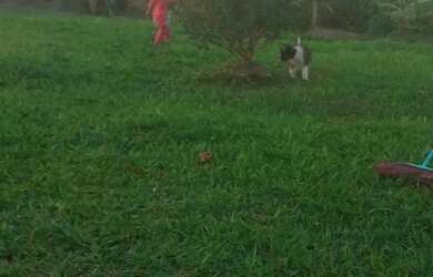 Imagem: A casa possui 2 Dormitórios, 1 Banheiro, 5 Vagas na garagem