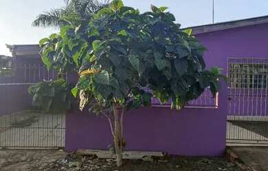 Imagem: A casa possui 2 Dormitórios, 1 Banheiro, 1 Vaga na garagem