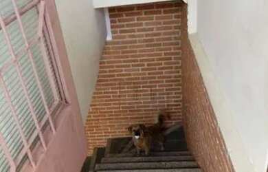 Imagem 9: Casa, 352 m² - venda por R$ 1.100.000,00 ou aluguel por R$ 4.662,47/mês...