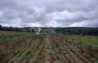 Imagem: O terreno possui 338.800m² de Área e está localizado em