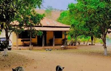 Imagem: A fazenda possui 125070m² de Área e está localizado em Urucânia