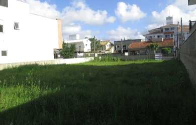 Imagem 8: ÓTIMO TERRENO PLANO - 450m² - EM ÁREA RESIDENCIAL