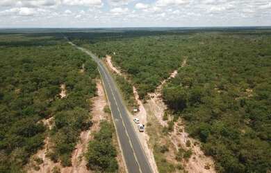 Imagem: A fazenda está localizado em Buritis, MG à venda por R$61.664.000