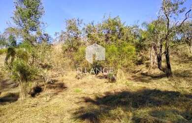 Imagem 5: Terreno à venda no bairro Joaquim Egídio em Campinas