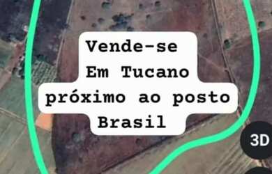 Imagem 4: Fazenda Caueira. 