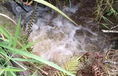 Imagem: A chácara possui 338000m² de Área e está localizado em Monção