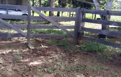 Imagem: A fazenda está localizado em Rorainópolis, RR à venda por