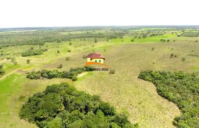 Imagem 11: Fazenda para Venda em Nova Rosalândia