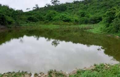 Imagem 4: Oportunidade em Negócio Fazenda Ceará Venda
