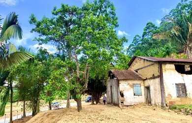 Imagem: A chácara possui 4.200m² de Área e está localizado em Santa