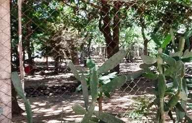 Imagem 6: LINDA CHA CARA DE 2400 METROS EM TRAS MARIAS