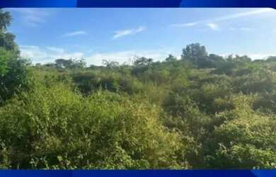 Imagem: A casa possui 1 Dormitório, 1 Banheiro, 10m² de Área e está