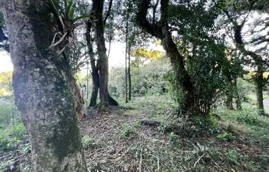 Imagem 3: Terreno - Bairro Quinta da Serra