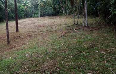 Imagem 10: Super natureza preservada 400 mil reais