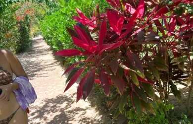 Imagem 12: EXCELENTE CASA COM 9 SUÍTES EM PRAIA DO FORTE PARA LOCAÇÃO TEMPORADA