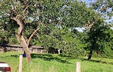 Imagem: A chácara está localizado em Parque Oeste Industrial, Goiânia