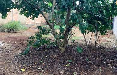 Imagem 3: casa no novo santo antonio