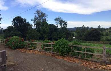 Imagem 7: Terreno 1.260,00,m², frente cercada, lugar alto linda vista, plano