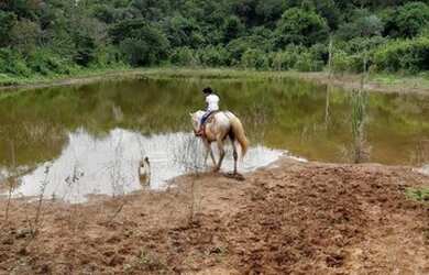 Imagem 7: Oportunidade em Negócio Fazenda Ceará Venda