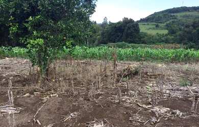 Imagem 3: Terreno 1.260,00,m², frente cercada, lugar alto linda vista, plano