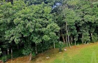 Imagem: A casa possui 2 Dormitórios, 1 Banheiro, 2 Vagas na garagem