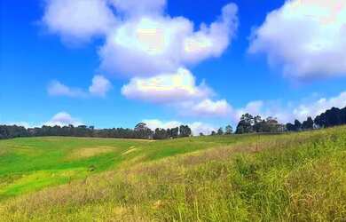 Imagem 14: Lote/Terreno para venda tem 500 metros quadrados em Jardim Japão (Caucaia do Alto) - Cotia